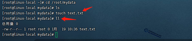 创建text.txt文件